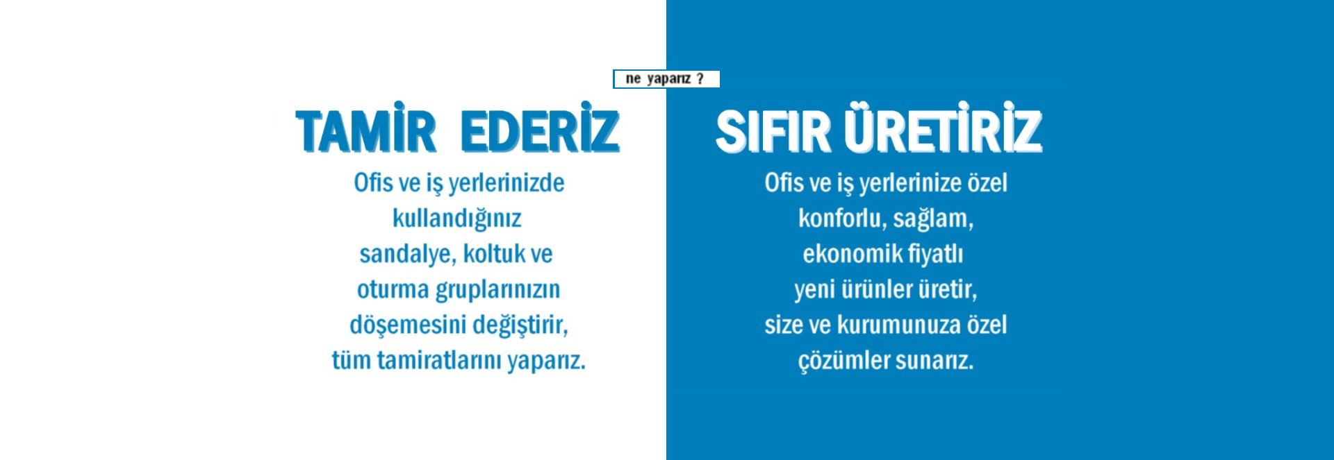 ne yaparız